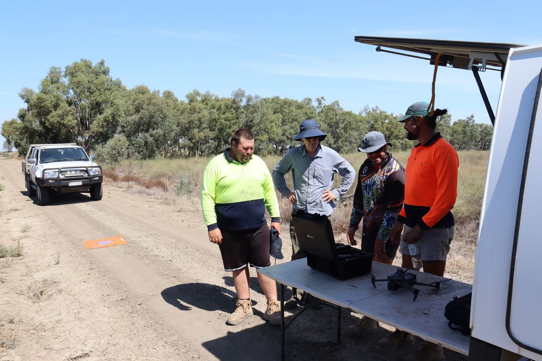 Drones take flight to protect vital Lowbidgee wetland lignum