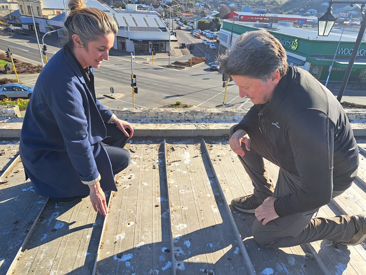 Plugging in to new seagull deterrent could be the answer for Ōamaru businesses