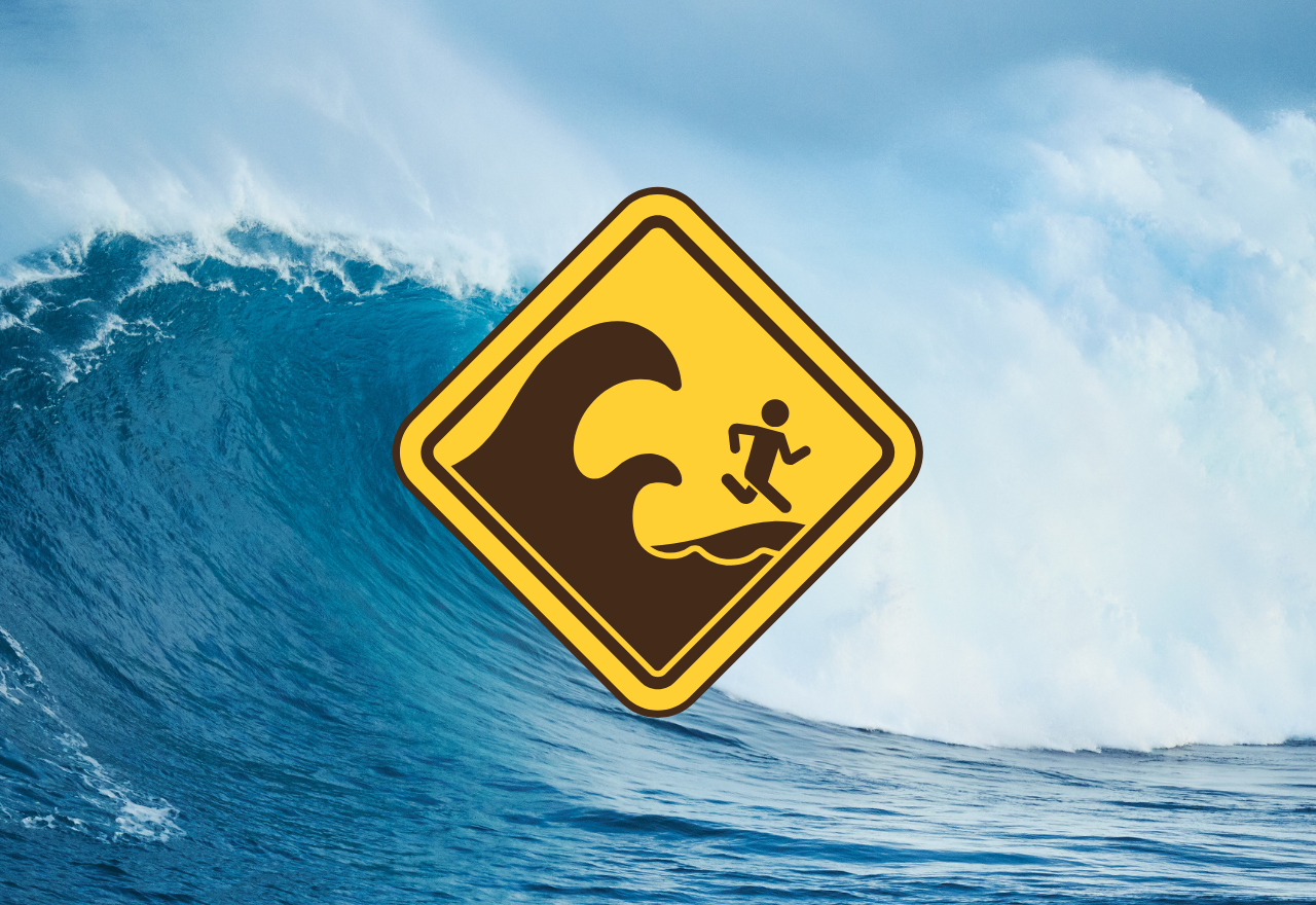 Tsunami Update: Warnings in place as tsunami currents reach new Zealand shores