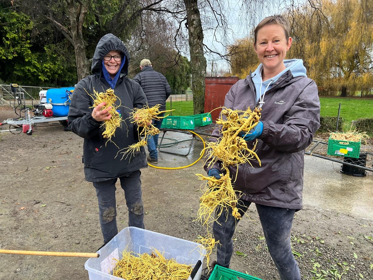 Medicinal crop trials turning soil into success