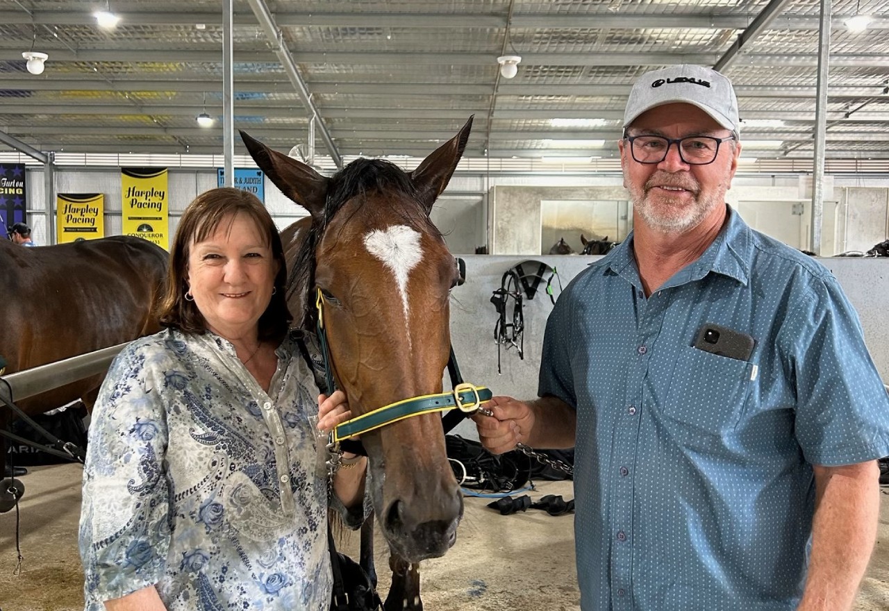 For the love of the horse: the meaning of the horses birthday