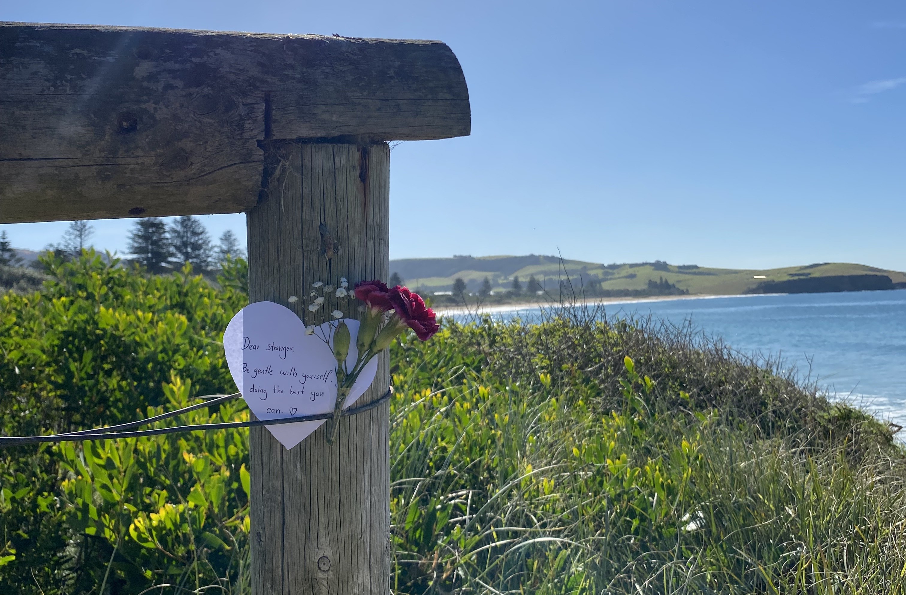 Local teen’s small acts of kindness have big impact