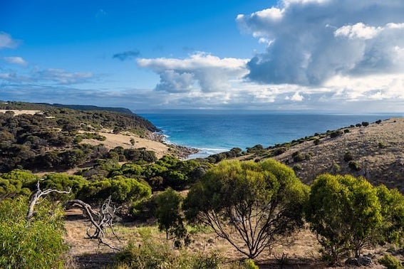 KI budget last but not least