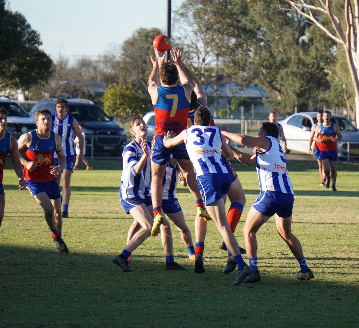 Hay Lions get set for new home