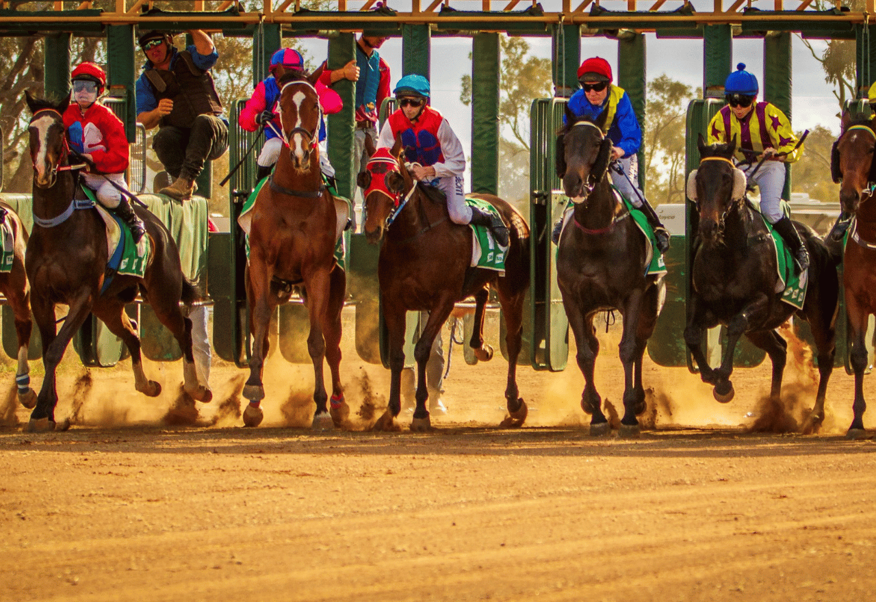 It's on again - the iconic Louth Races