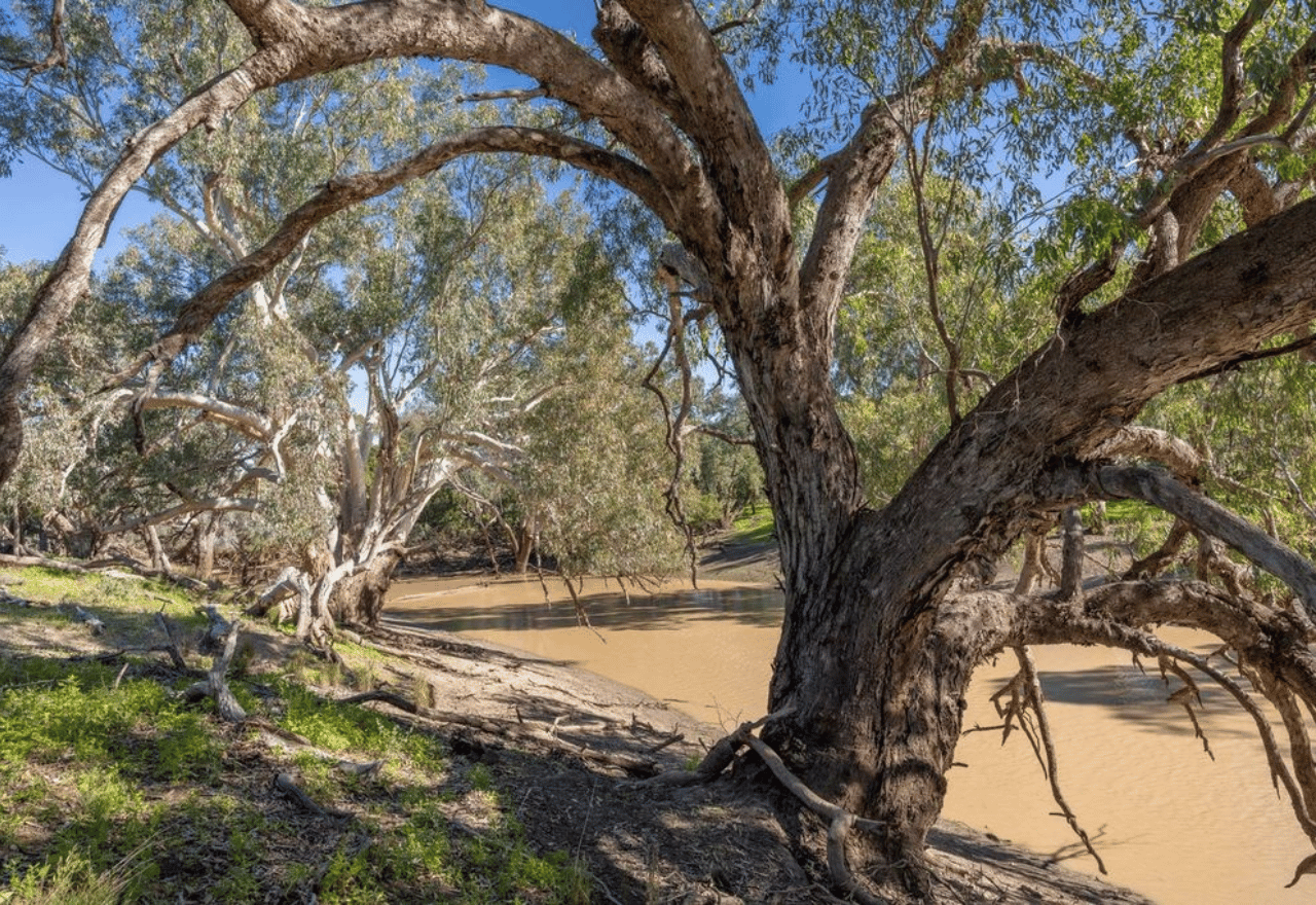 "Stop wasting money on new national parks" 