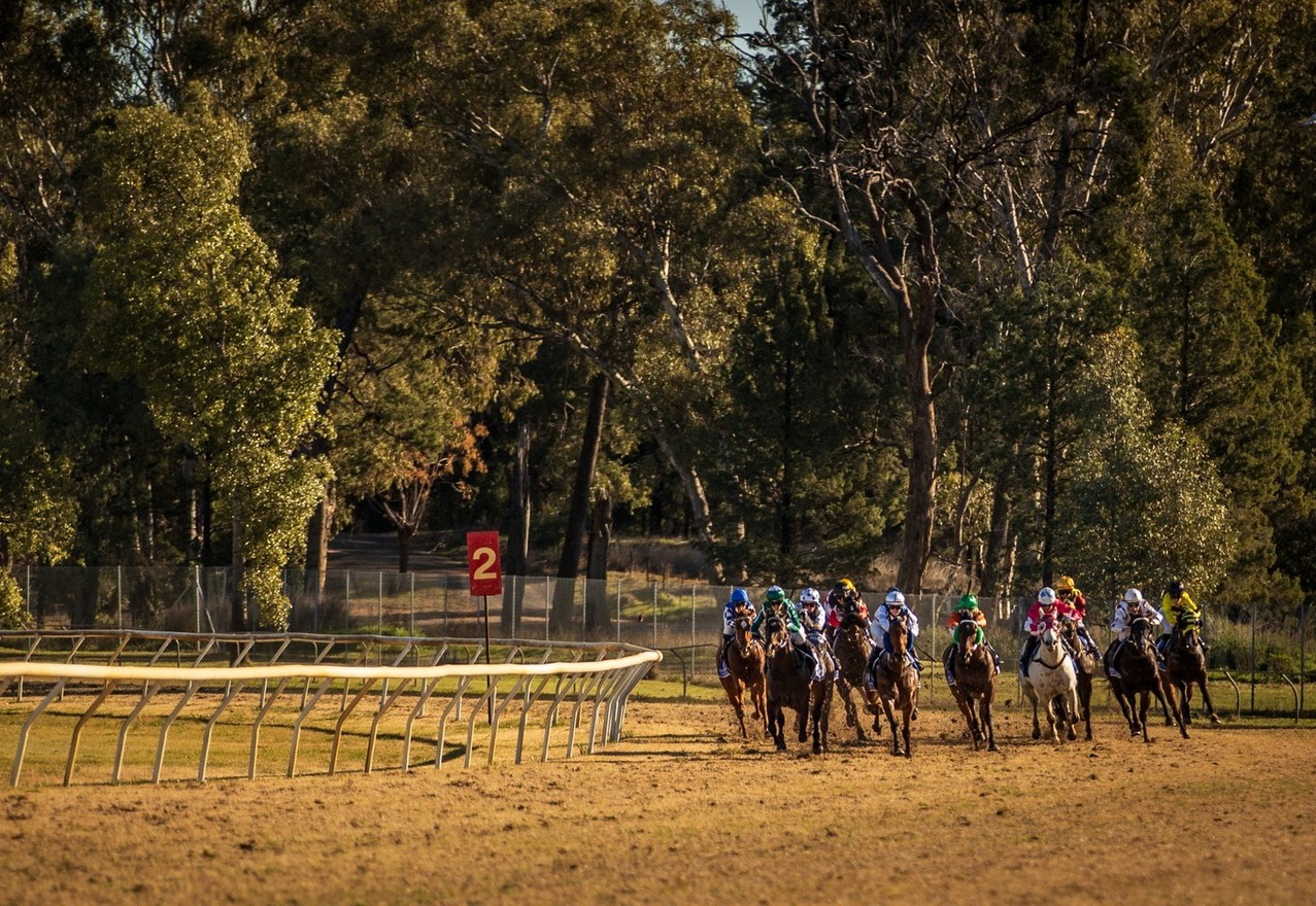 'So Country' takes home Collie Cup
