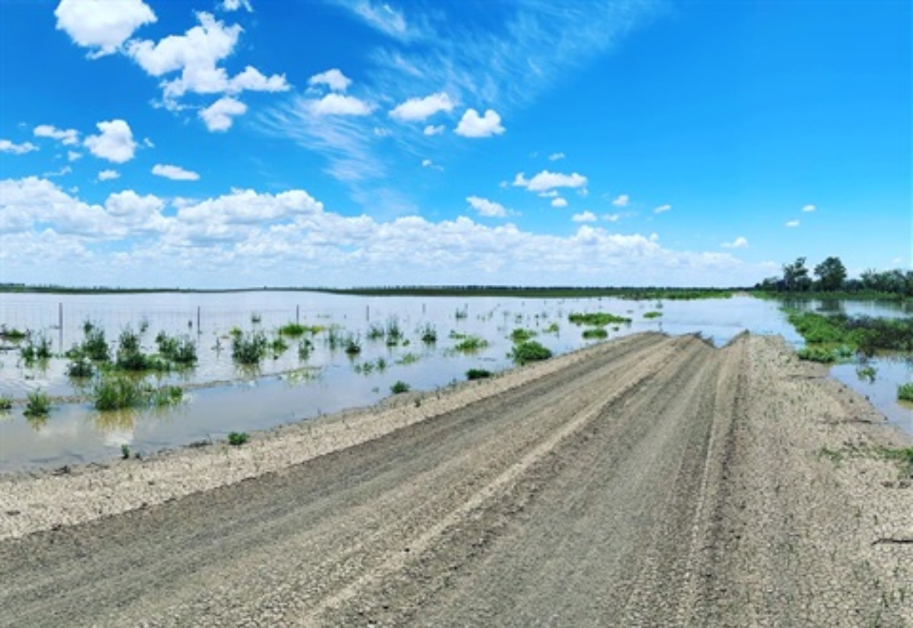 SES warns communities of flooding at Walgett and Come By Chance