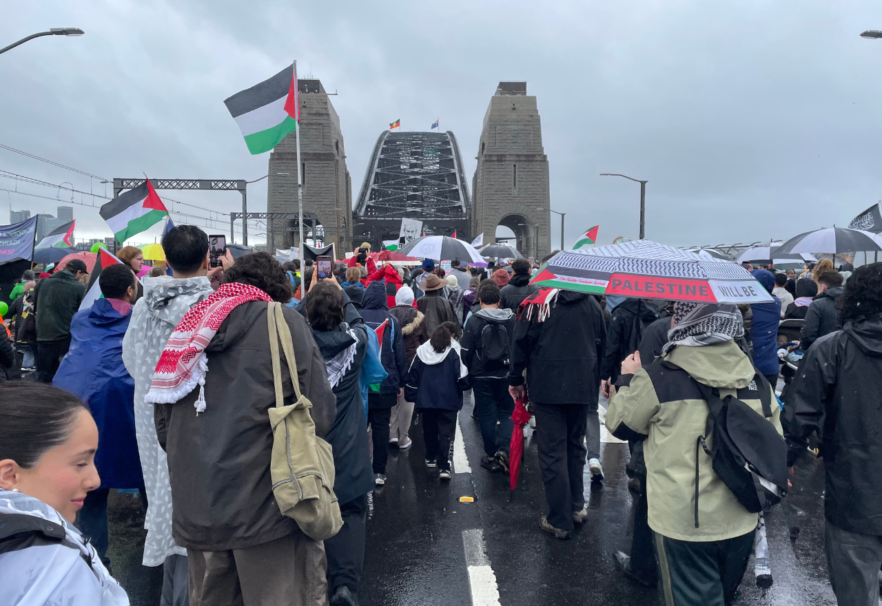 'Can’t allow this to happen again': Kiama local's Sydney Harbour Bridge Gaza protest