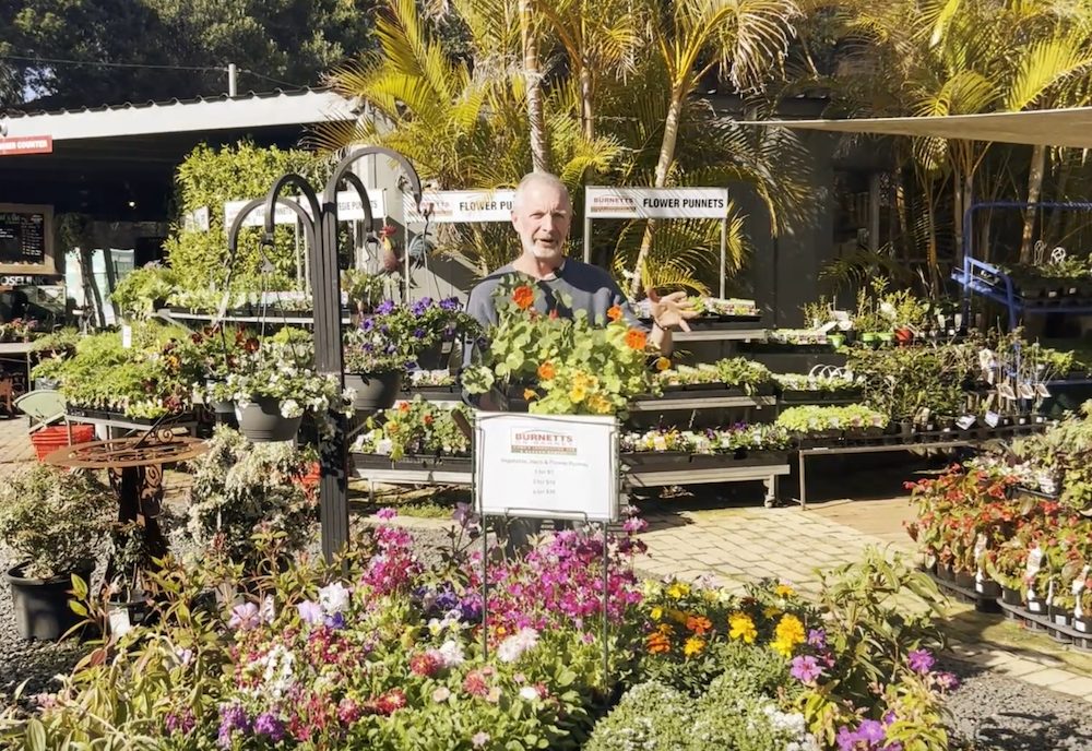 Sprinter gardening: Colour, crops & creepy-crawlies