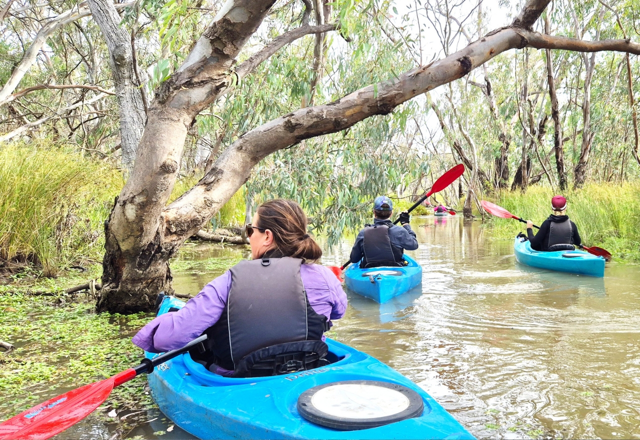 Shock and confusion over pause on environmental water releases