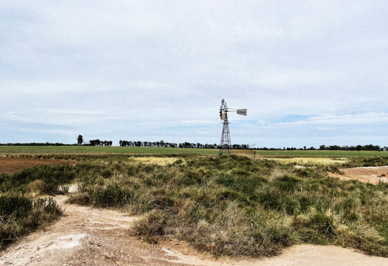 Sun shining for Narromine solar farm