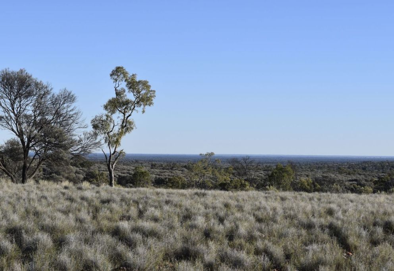 Local councils weigh in on latest national park purchases