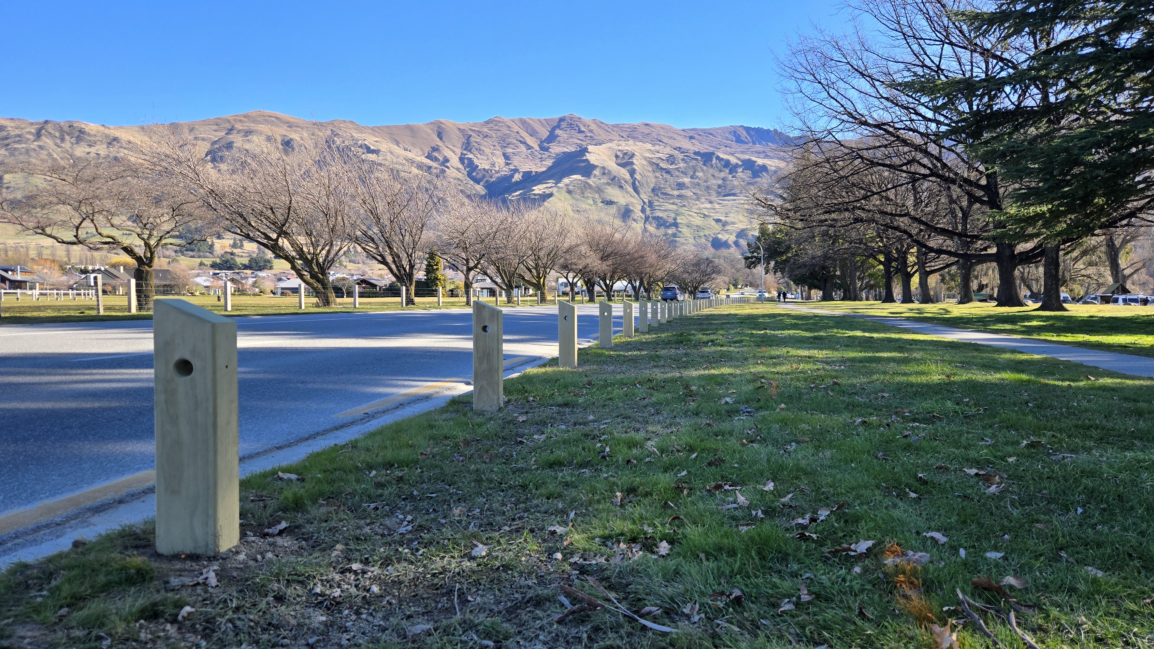 New $43k fence to protect trees, lakefront reserve