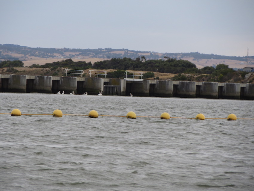 Community forum to address eco anxiety