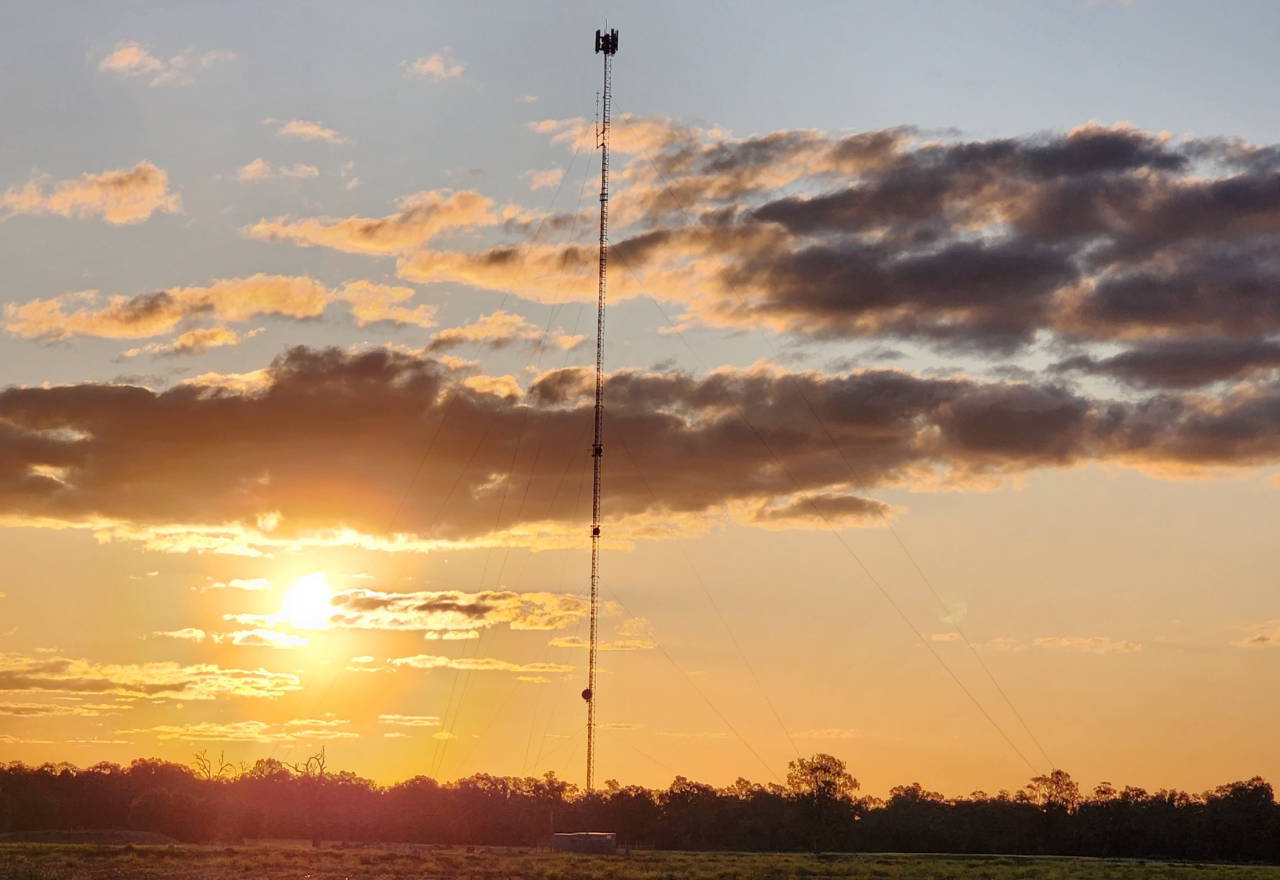 "Disgusting" mobile service triggers Cobar campaign