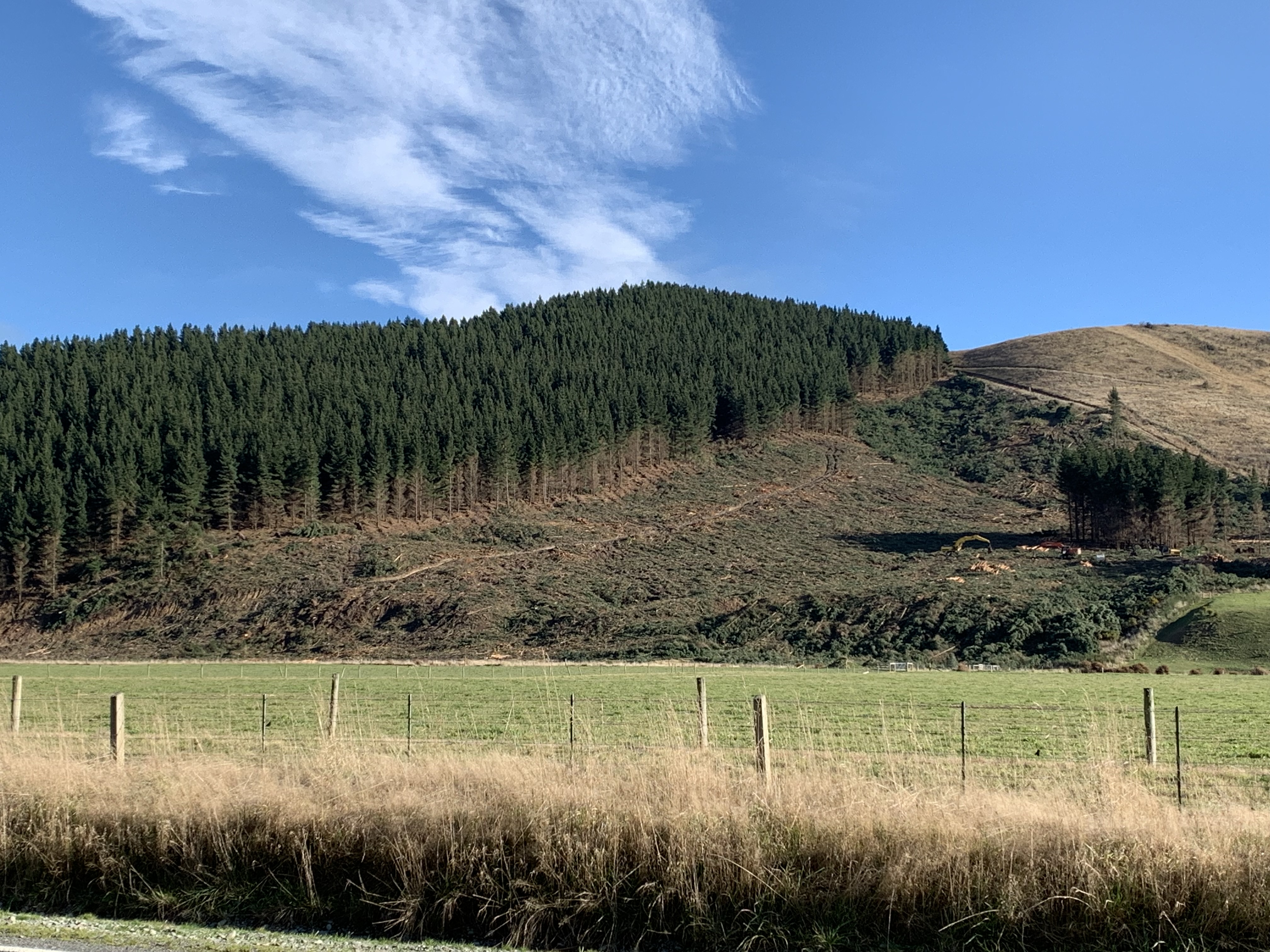 Farmers warned about lack of insurance cover for fines under the RMA