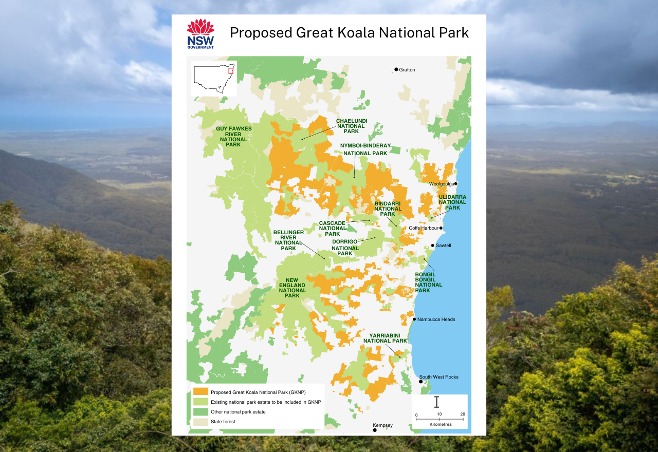 The Great Koala National Park boundary announced today