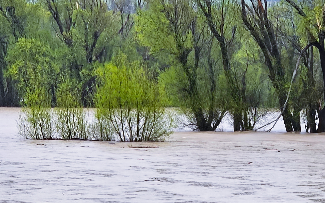 Missing evacuation mapping a threat to Southland