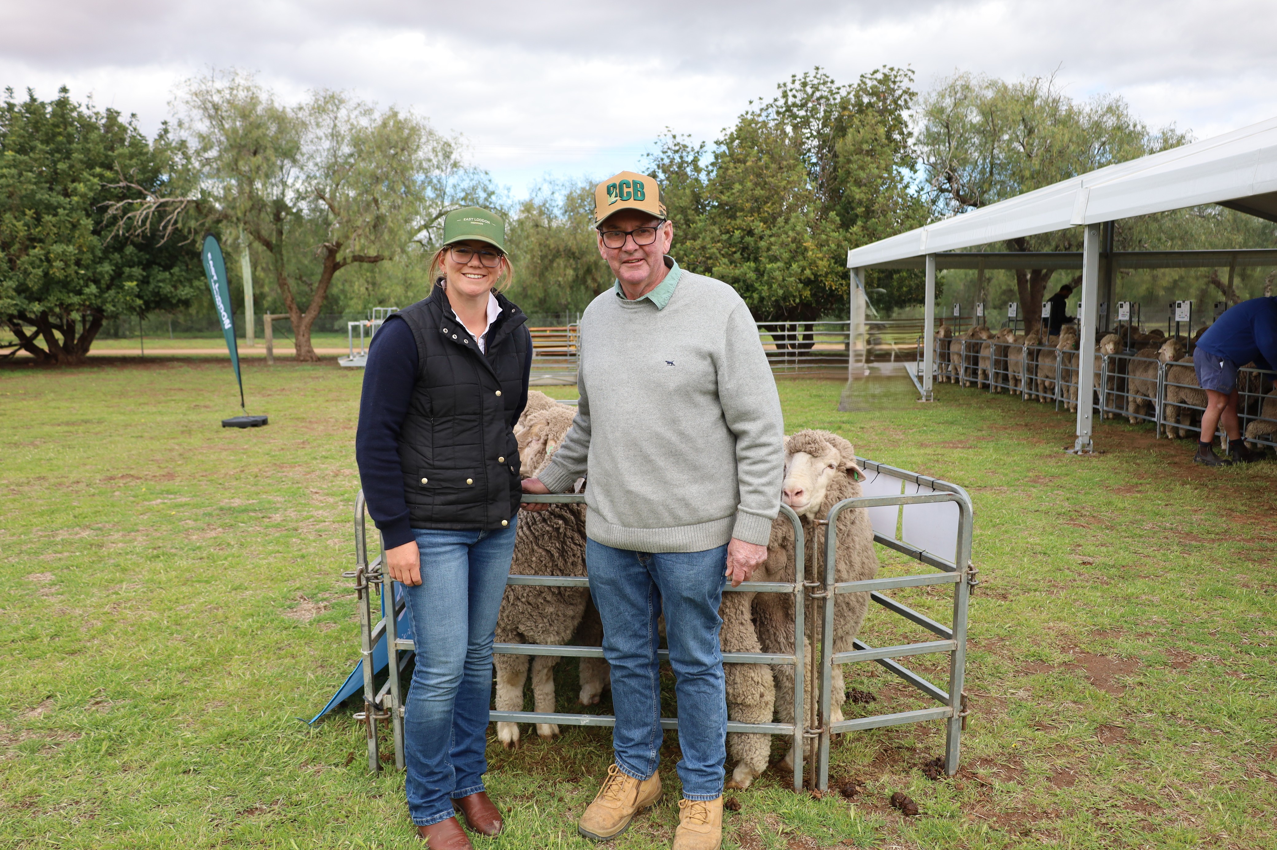 East Loddon Merino ram tops at $6,250