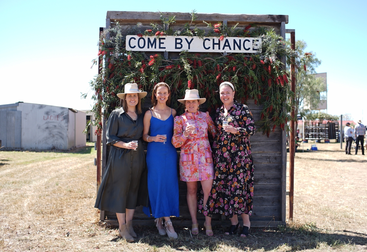 Dog jumping to return to Come by Chance races