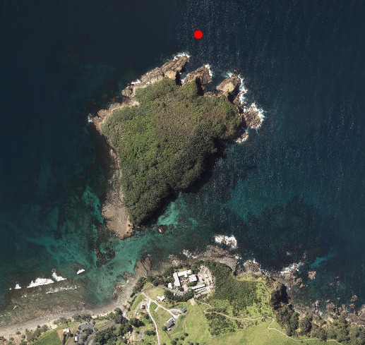 Missing diver rescued near Goat Island after late-night search