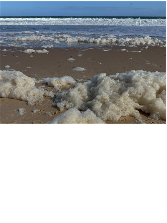 Algal bloom community forums continue