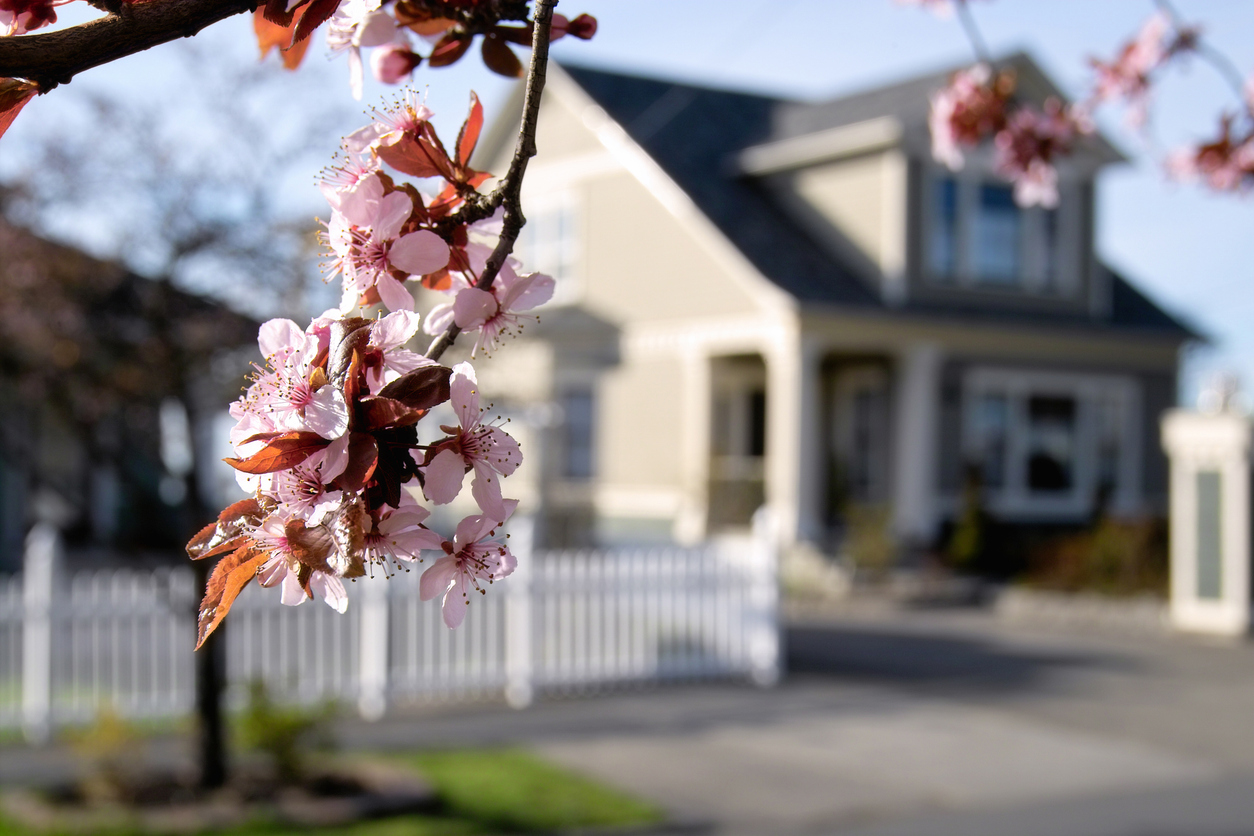 Spring property activity rises with tourism season (sponsored)