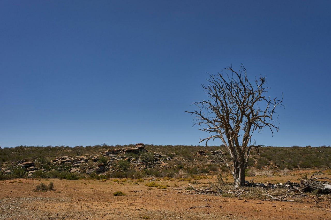 Advisory Council to give rural and remote NSW a stronger voice