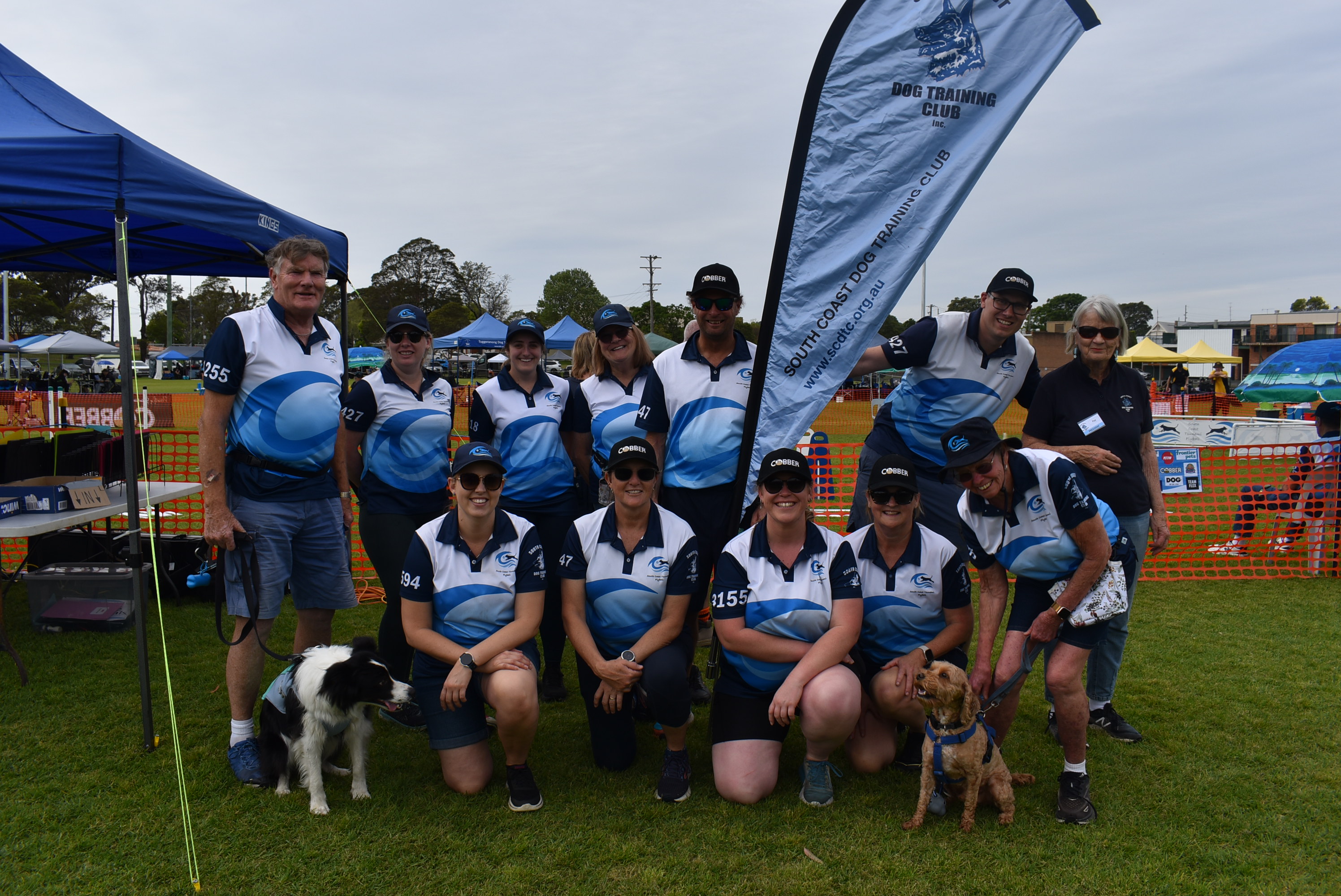 Ninety-six dogs compete in high-speed Flyball competition