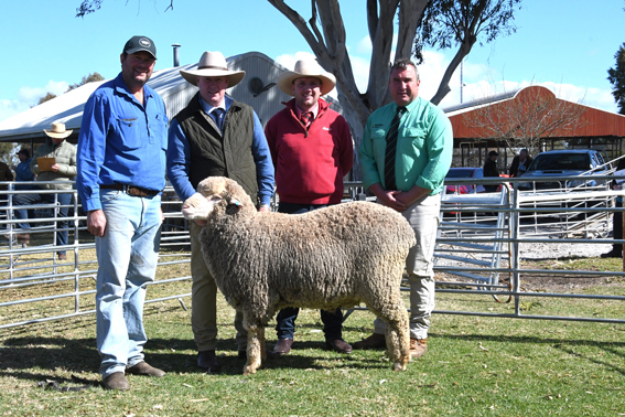 Woodpark Poll Merinos top at $9000