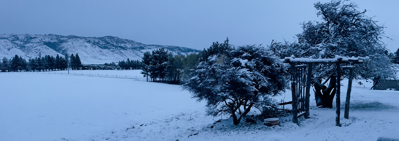 Spring snowfall hits farms and roads