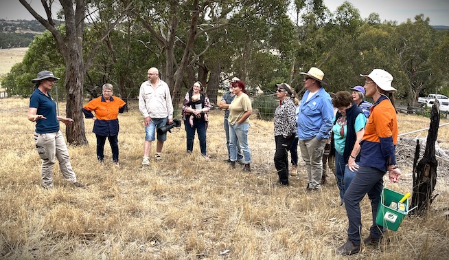 Free land care workshops on the Fleurieu
