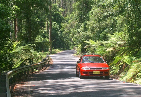 Jamberoo Mountain Road closure for emergency repairs