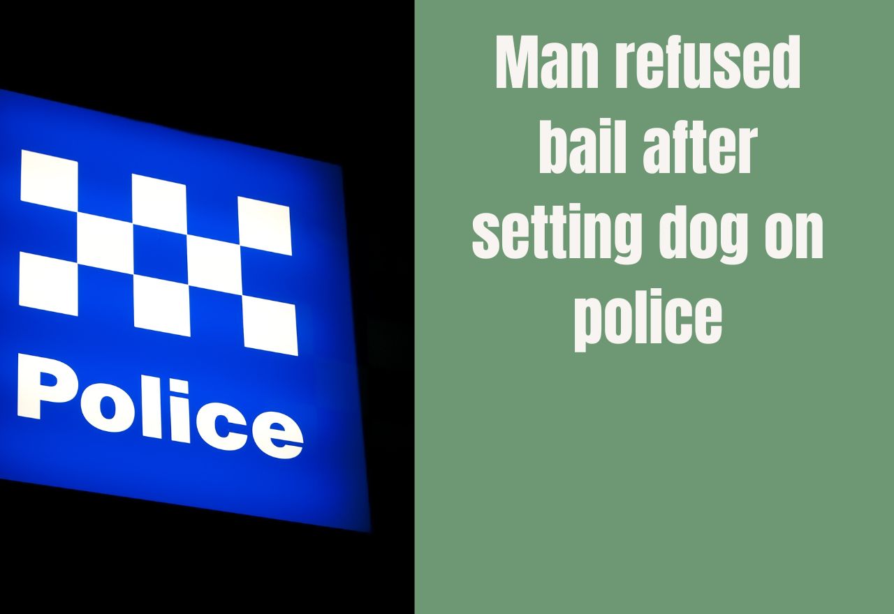 Man refused bail after setting dog on police