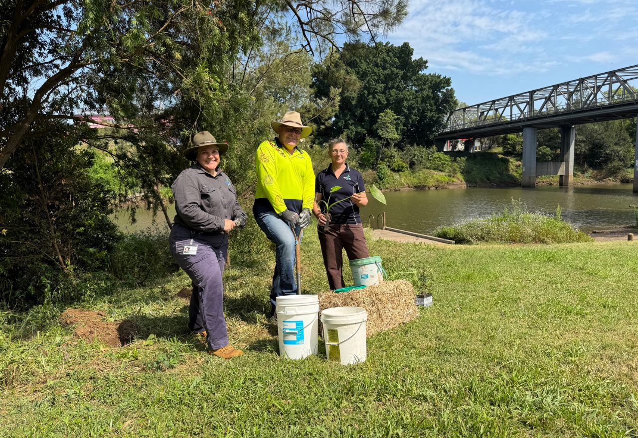 Council receives $1.98 million grant for Urban Rainforest Restoration