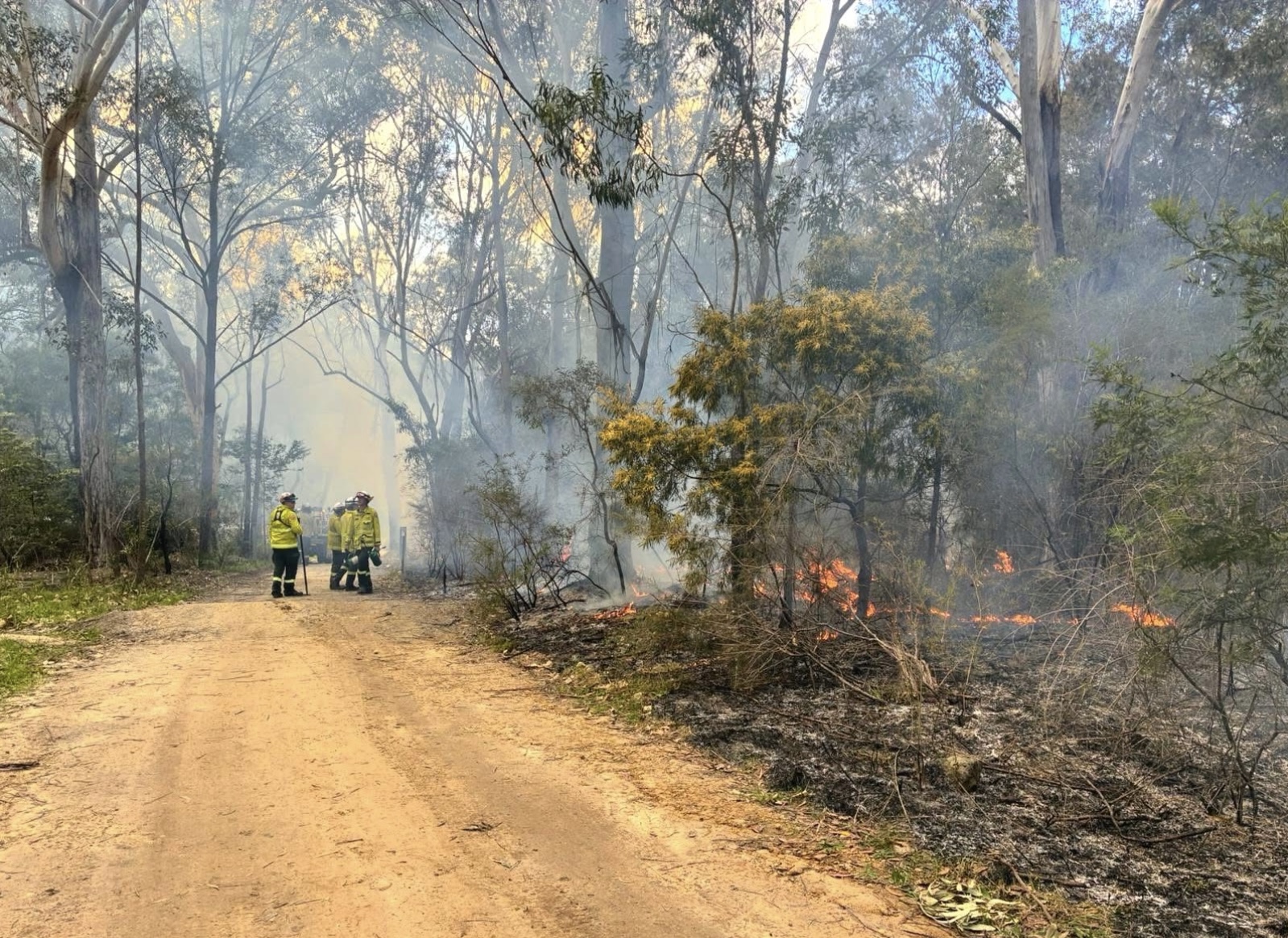 Shoalhaven's grant to help protect homes and assets from bushfire threats