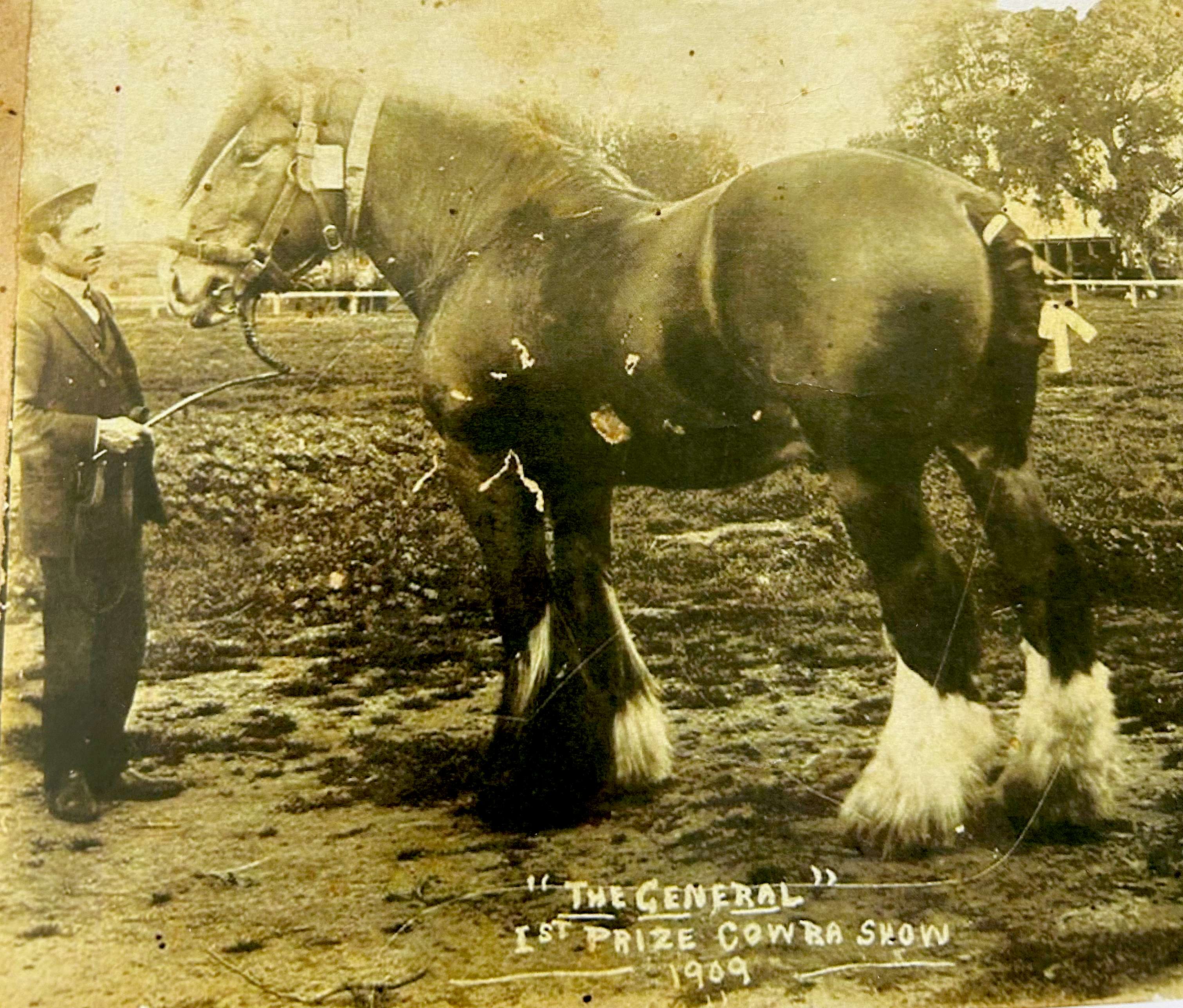 Looking into the past a joyful addiction