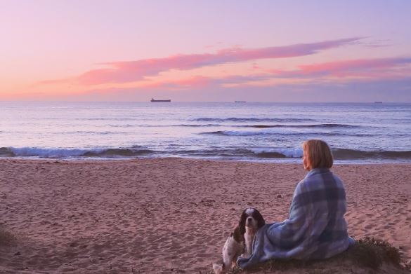 Foxground Community Film Night delves into homelessness issue