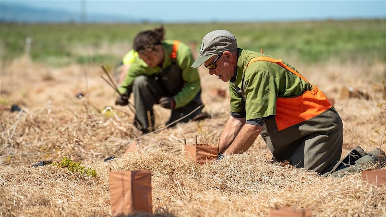 DOC Launches Cadet Drive for Kiwi Rangers