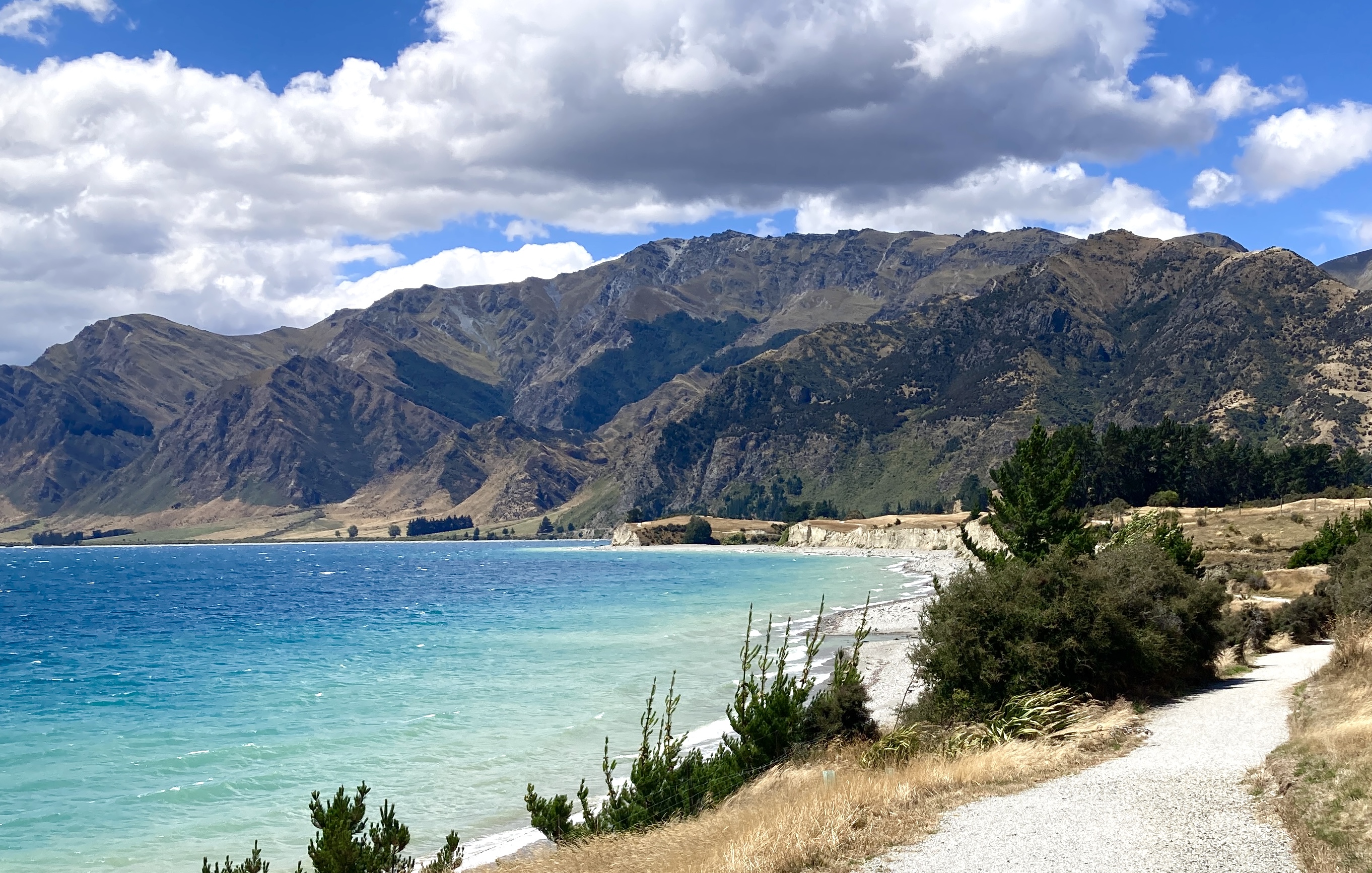 Contact’s modified lake level proposal still ‘unsustainable’ - Guardians