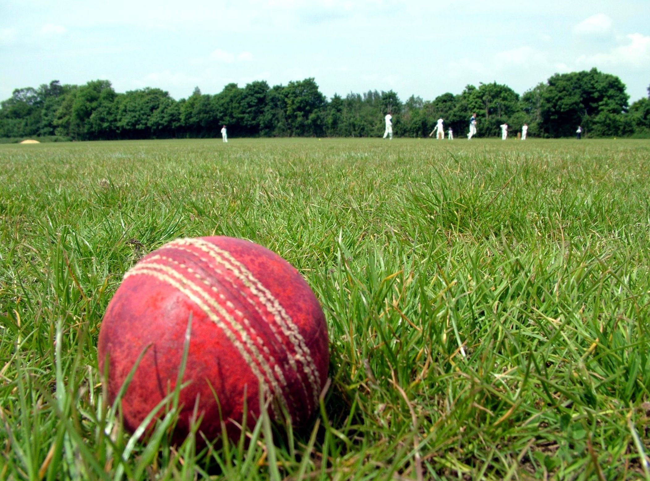Reigning premier repeat Grand Final result in Great Southern Cricket