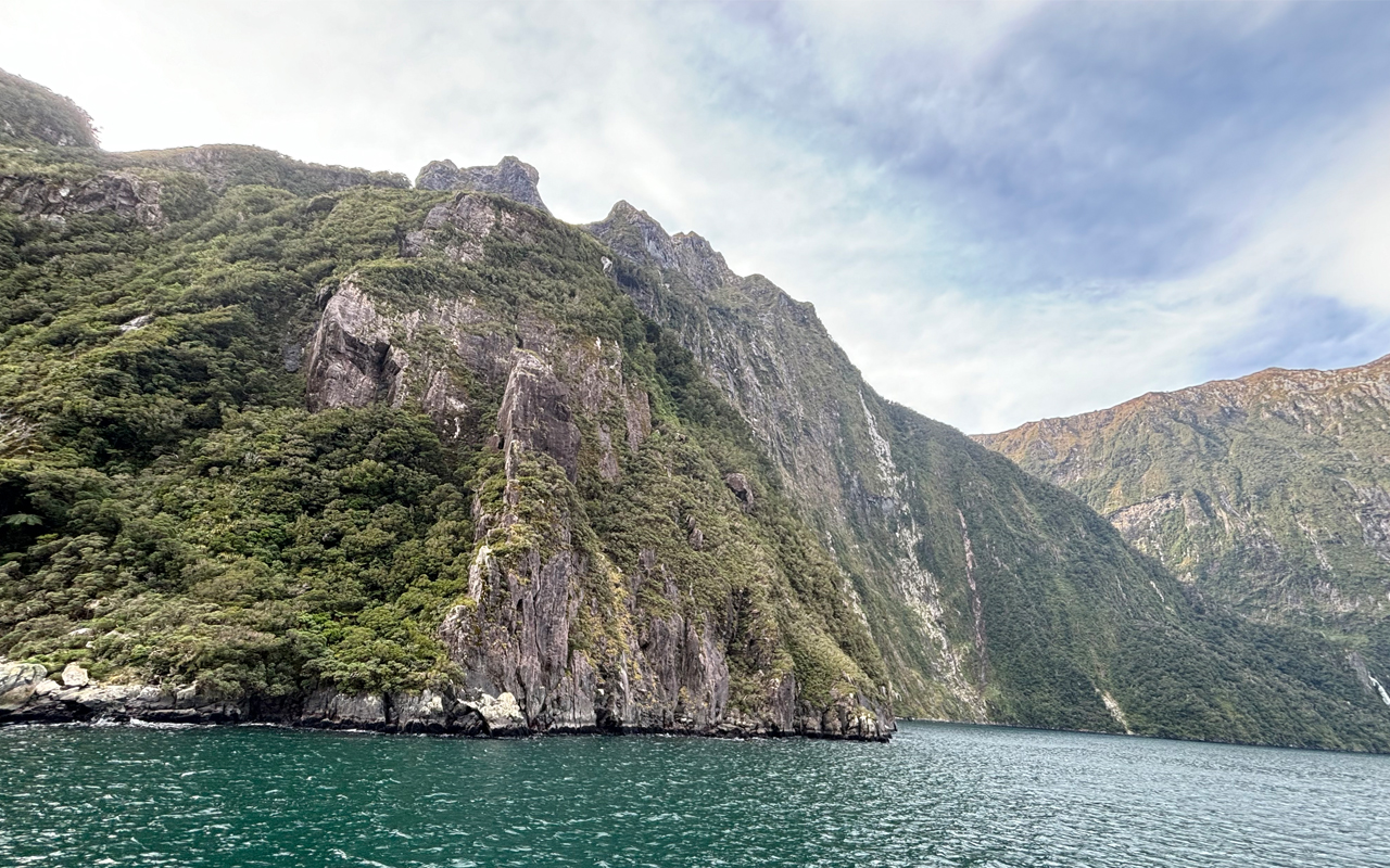 Milford Road report