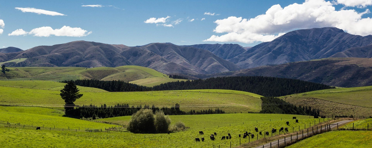 Glorit Solar Farm Wins Green Light