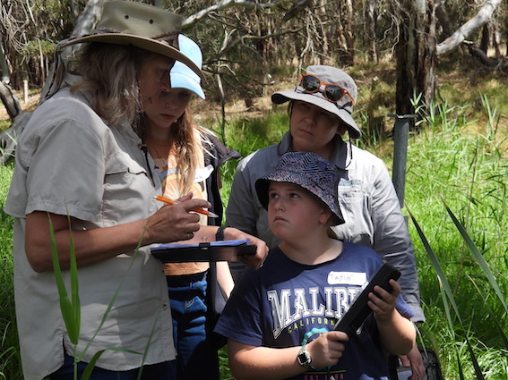 Support local biodiversity through citizen science