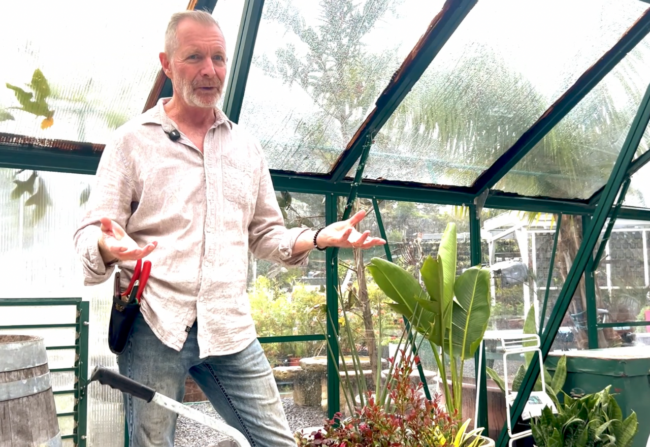 Spring is here - time to hit the nursery and get planting