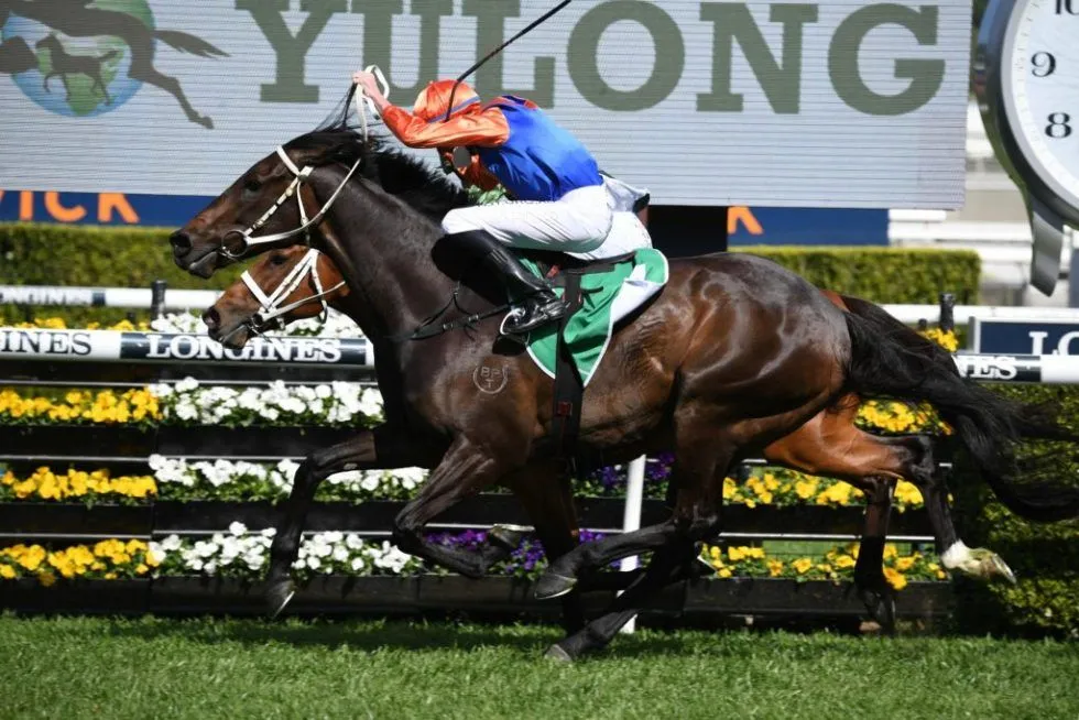 Parkers path to Royal Randwick as racing industry faces review