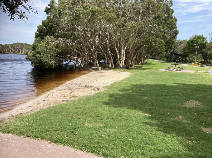 Blue-green algae Red Alert for Lake Ainsworth at Lennox Head