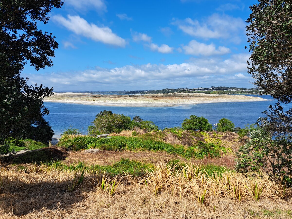 Mangawhai: What’s happening at Picnic Bay?
