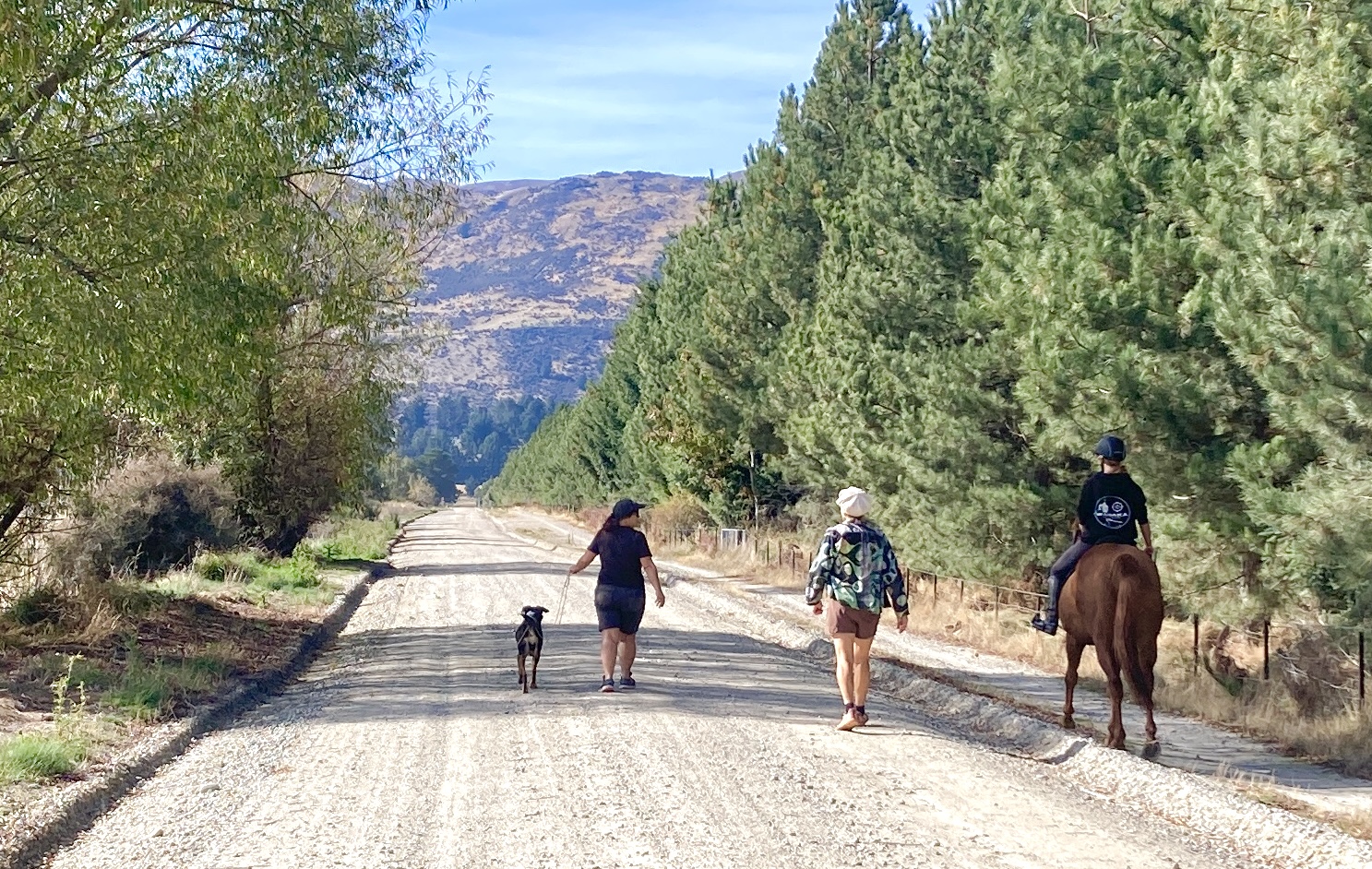 Queenstown Lakes’ annual Quality of Life survey now open